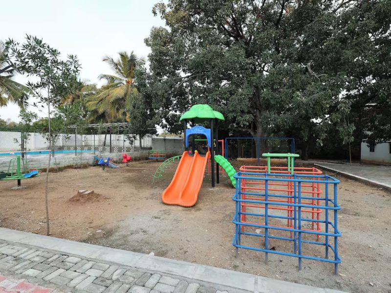 Lawn Area